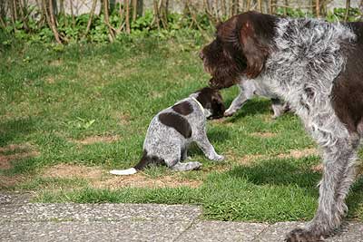 080316-089.jpg