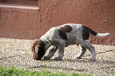 080316-096.jpg