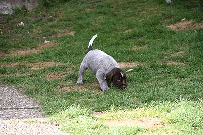 080316-111.jpg