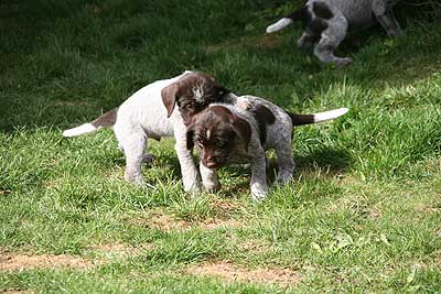080316-112.jpg