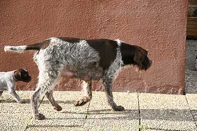 080316-129.jpg