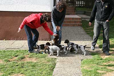 080316-131.jpg