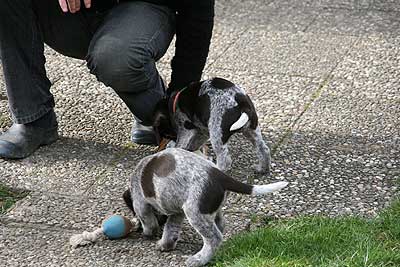080316-145.jpg