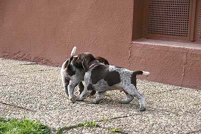 080316-162.jpg