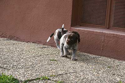 080316-163.jpg