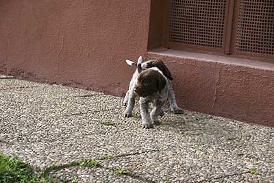 080316-164.jpg